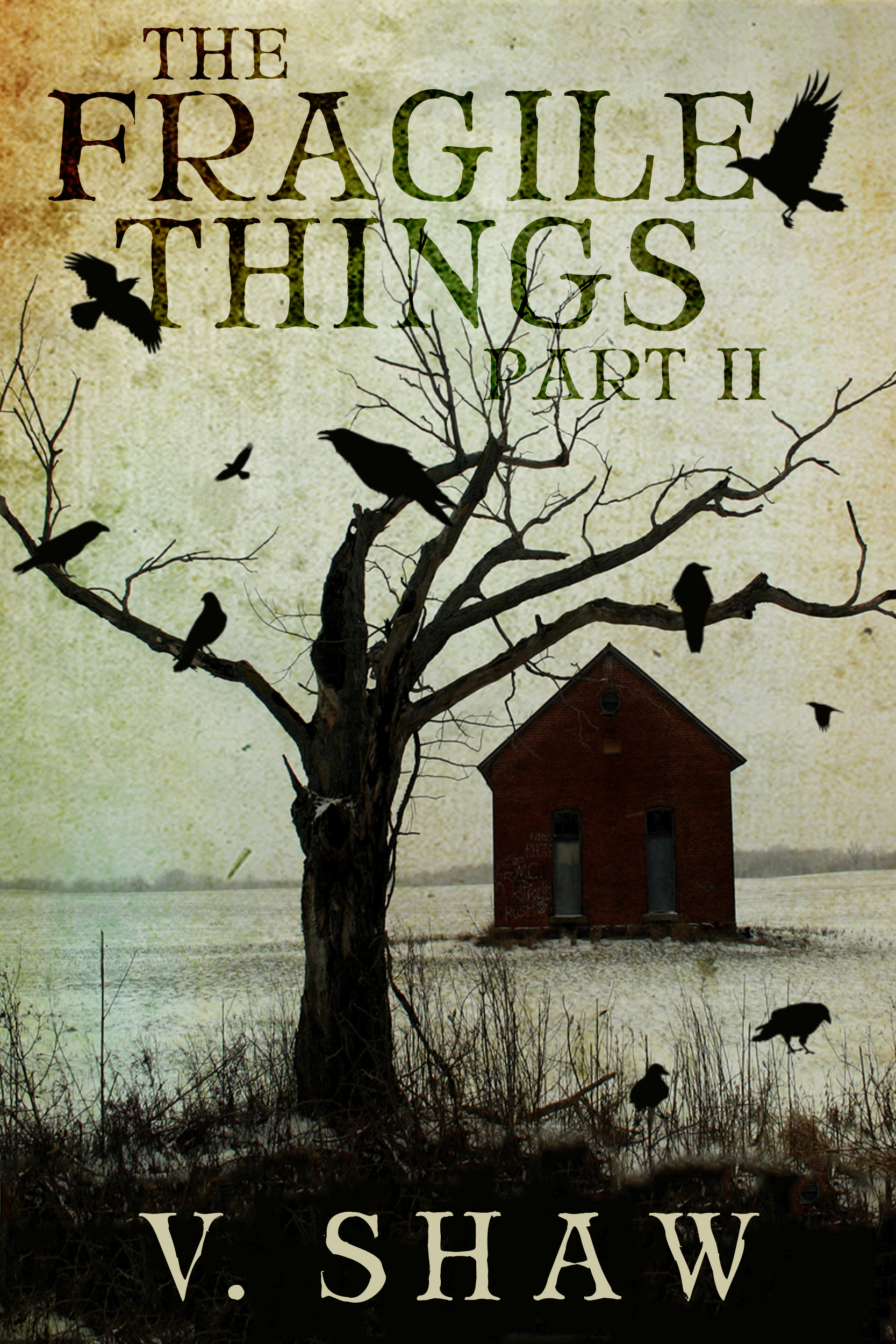 THE FRAGILE THINGS By V Shaw Cover Reveal Of Part II Books Bones