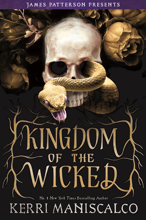 wicked kingdom series