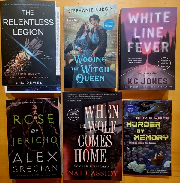 Over-Booked [201] – November Book Haul – Books, Bones & Buffy